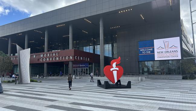 Sham-Controlled Trial, and More, Bolster Pulsed-Field Ablation for AF