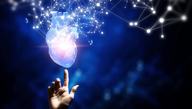 Novel VECTOR Procedure Creates Percutaneous Aorto-Coronary Bypass