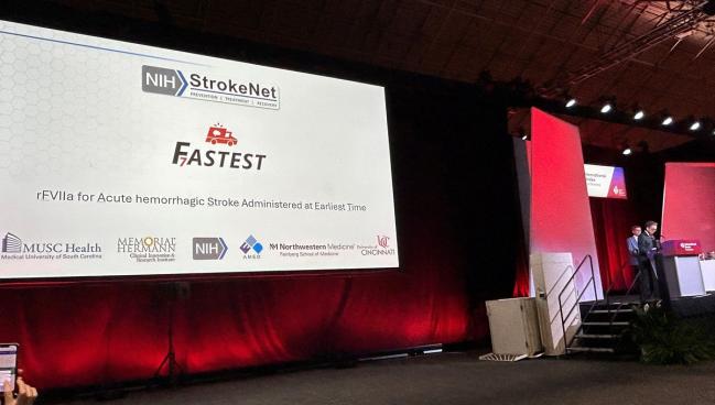 FASTEST Hints at Benefits of Hemostatic Therapy for Acute ICH in Select Groups
