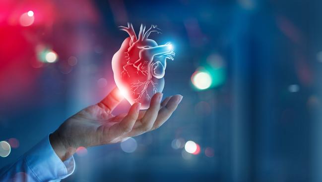 Mechanical Circulatory Support Doesn’t Reduce Infarct Size in STEMI