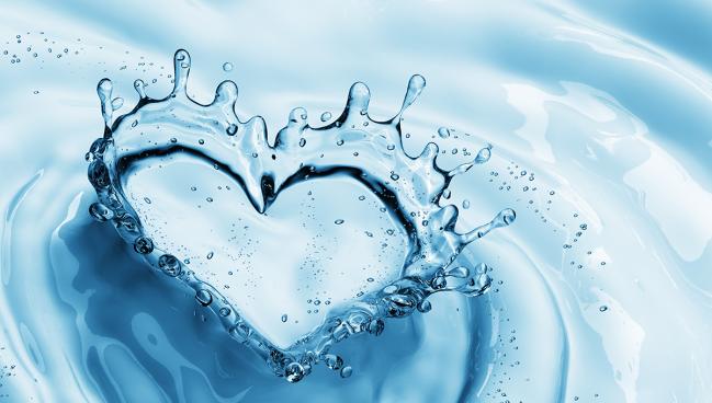 Noninvasive FFR Measures Match Wire-Based Assessment: ALL RISE and FAST III