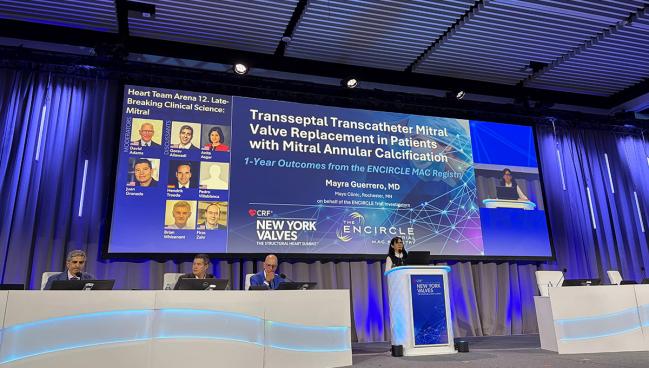 Transseptal TMVR in MAC Shows Promise in Registry