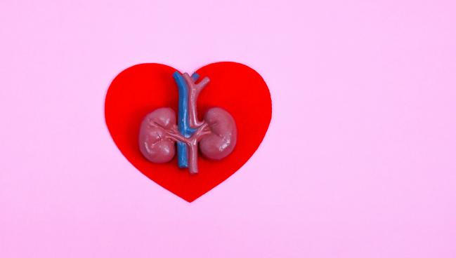 ESC Recommends CKD Testing in All Patients With CVD