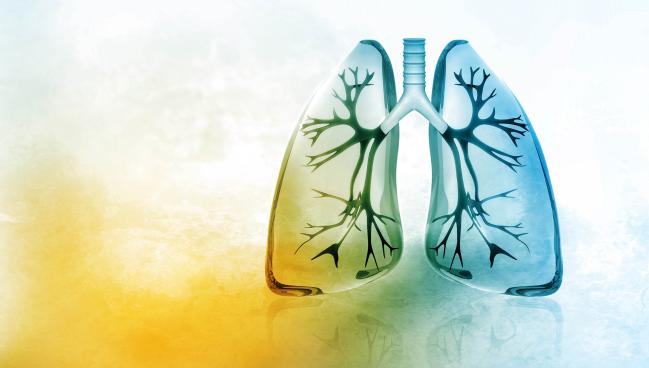 PRAGUE-26: Catheter-Directed Thrombolysis Beneficial in Intermediate-High-Risk PE