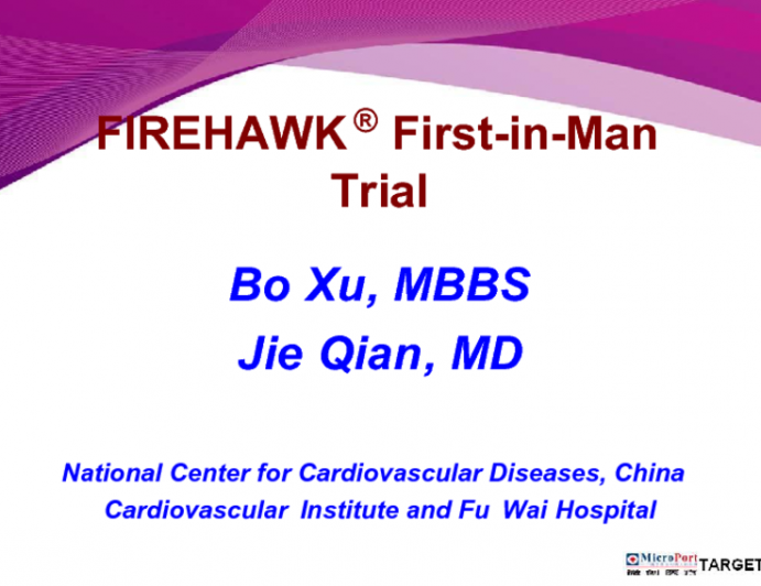 First Report of A Novel Abluminal Groove Filled Biodegradable Polymer Rapamycin-Eluting Stent in De Novo Coronary Artery Disease: Results of the First in Man FIREHAWK Trial