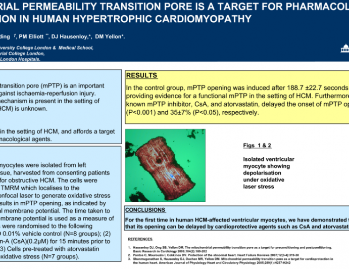 The Mitochondrial Permeability Transition Pore is a Target for Pharmacological Cardioprotection in Human Hypertrophic Cardiomyopathy