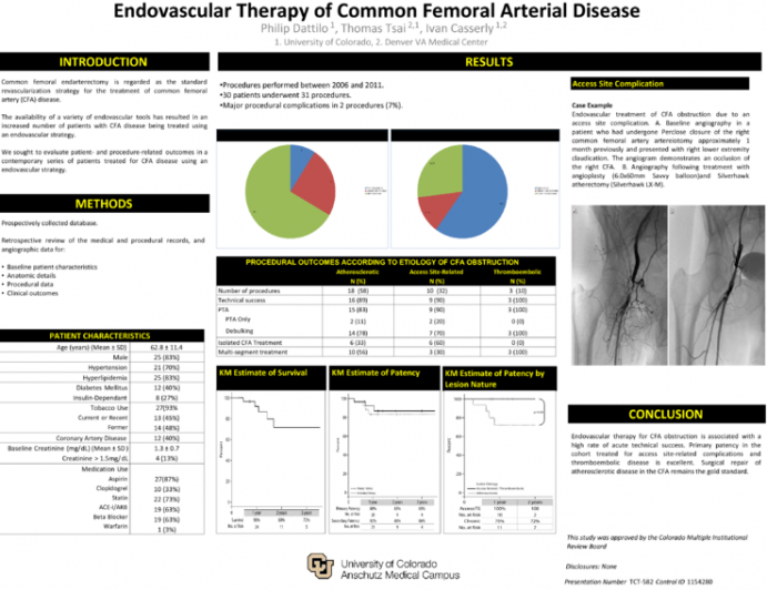 Endovascular Therapy of Common Femoral Arterial Disease