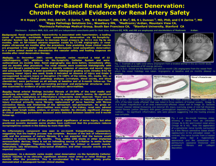 Catheter-Based Renal Sympathetic Denervation: Chronic Preclinical Evidence for Renal Artery Safety