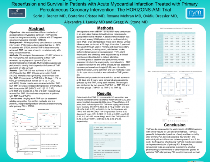 Relationship Between Angiographic Dynamic and Densitometric Assessment of Myocardial Reperfusion and Survival in Patients with Acute Myocardial Infarction Treated with Primary...