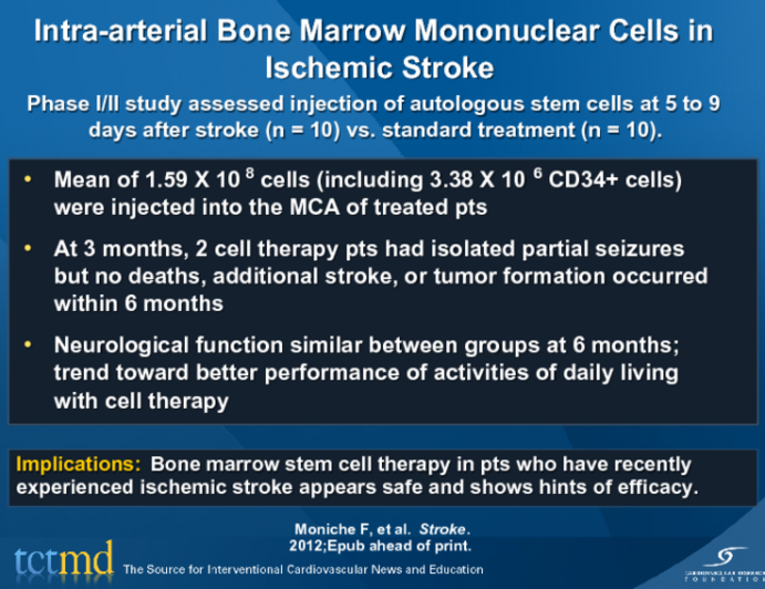 Intra-arterial Bone Marrow Mononuclear Cells in Ischemic Stroke