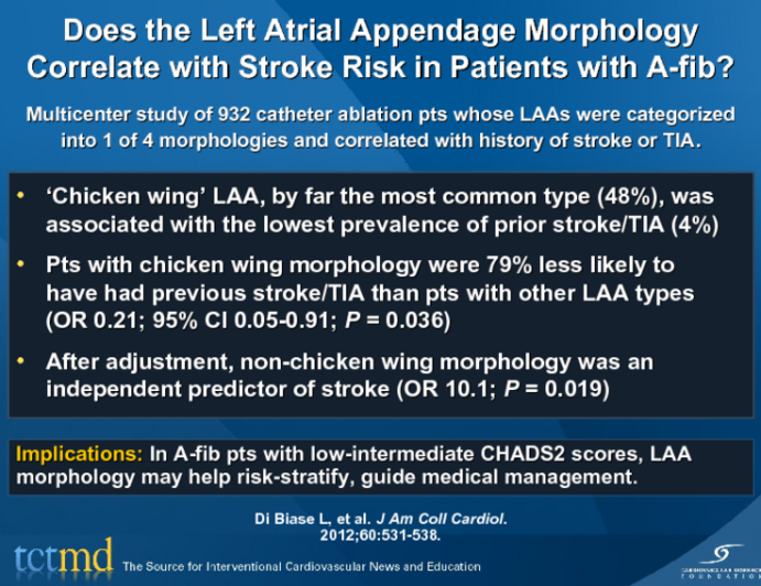 Does the Left Atrial Appendage Morphology Correlate with Stroke Risk in Patients with A-fib?