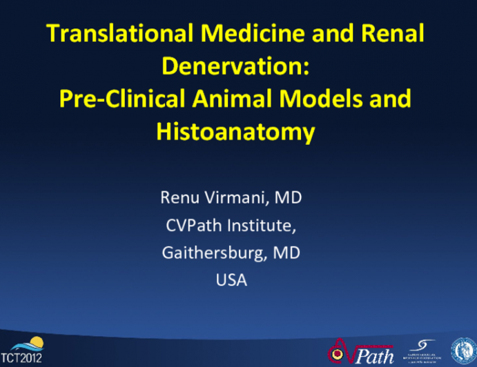 Translational Medicine and Renal Denervation: Preclinical Animal Models and Histoanatomy