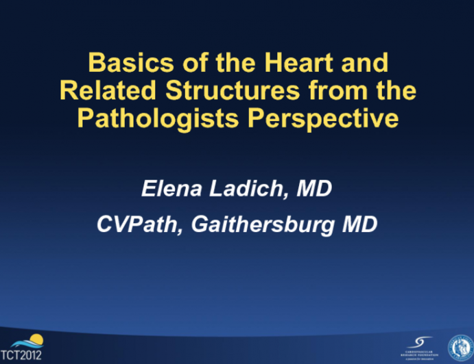 Basics of the Heart and Related Structures from the Pathologist's Perspective