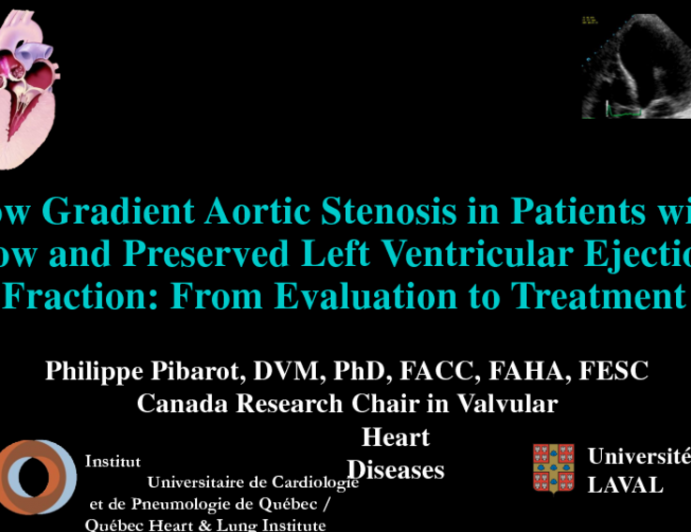 Low Gradient Aortic Stenosis in Patients with Low and Preserved