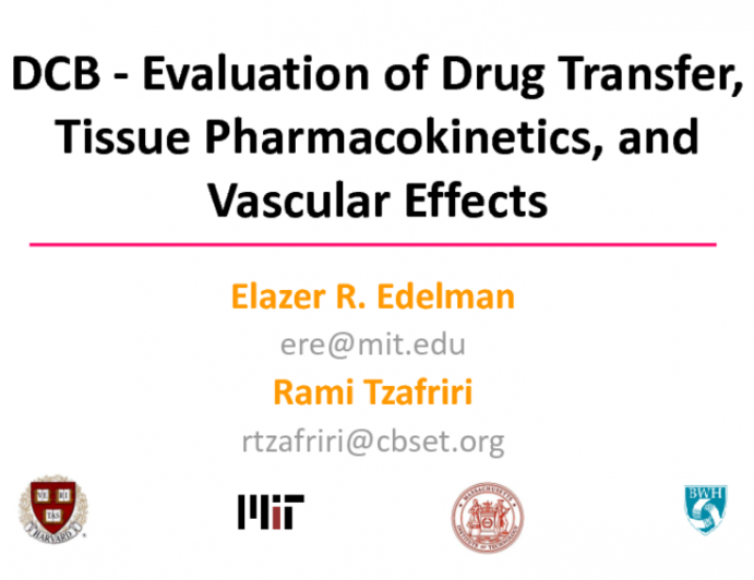 Preclinical Review: Experimental Pathways for Evaluation of Drug Transfer, Tissue Pharmacokinetics, and Vascular Effects