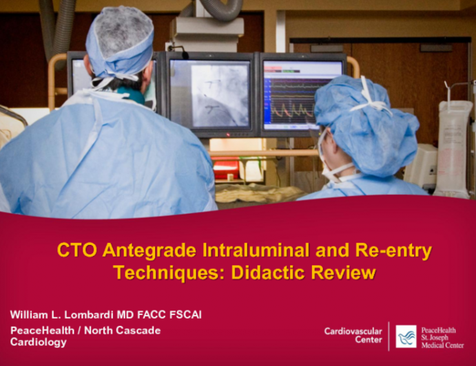 CTO Antegrade Intraluminal and Reentry Techniques: Didactic Review