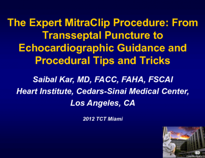 The Expert MitraClip Procedure: From Transseptal Puncture to Echocardiographic Guidance and Procedural Tips and Tricks