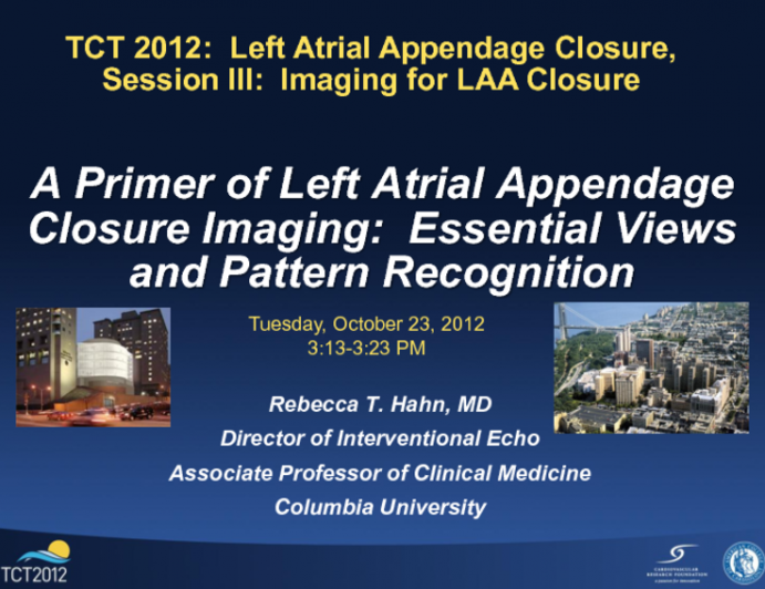 A Primer of LAA Closure Imaging: Essential Views and Pattern Recognition