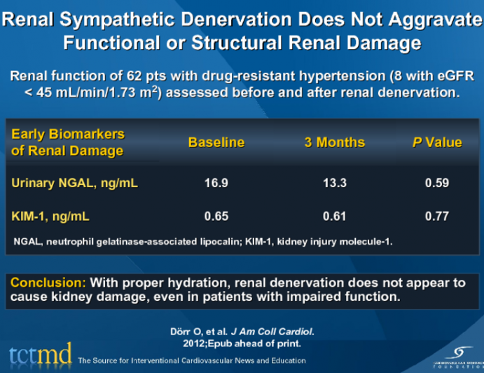 Renal Sympathetic Denervation Does Not Aggravate Functional or Structural Renal Damage