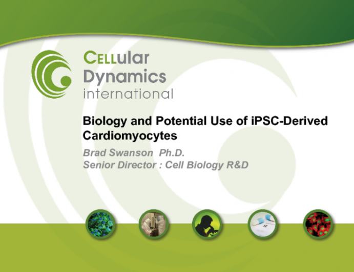 Biology and Potential Use of iPSC-Derived Cardiomyocytes