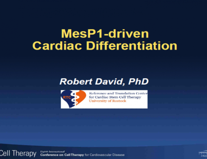 MesP1-Driven Cardiac Differentiation