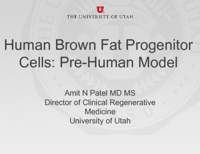 Human Brown Fat Progenitor Cells: Pre-Human Model