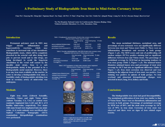 A Preliminary Study of Biodegradable Iron Stent in Mini-Swine Coronary Artery