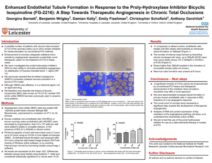 Enhanced Endothelial Tubule Formation in Response to Proly-Hydroxylase Inhibitor FG-2216: A Step Towards Therapeutic Angiogenesis in Chronic Total Occlusions