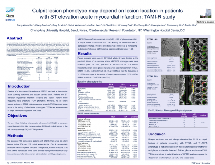 Culprit lesion phenotype may depend on lesion location in patients with ST elevation acute myocardial infarction: TAMI-R study