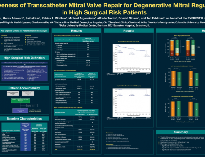 Effectiveness of Transcatheter Mitral Valve Repair in Degenerative Mitral Regurgitation in High Surgical Risk Patients