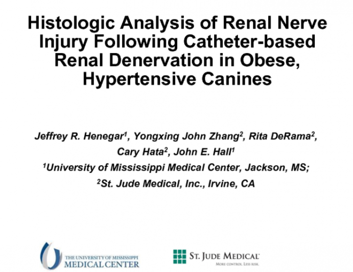 Histologic analysis of renal nerve injury following catheter-based renal denervation in obese, hypertensive canines