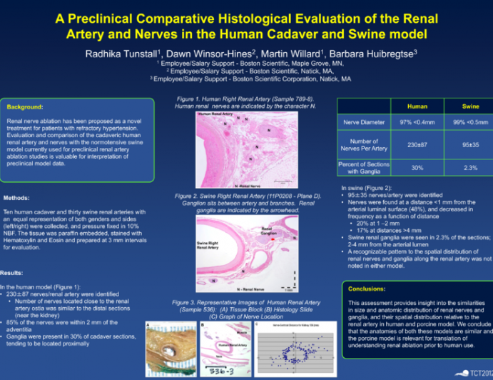 A Preclinical Comparative Histological Evaluation of the Renal Artery and Nerves in the Human Cadaver and Swine model