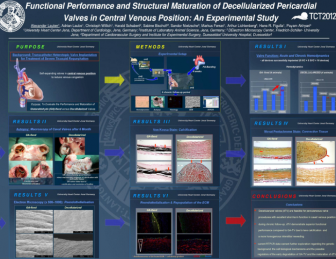 Functional Performance and Structural Maturation of Decellularised Pericardial Valves in Central Venous Position: An Experimental Study