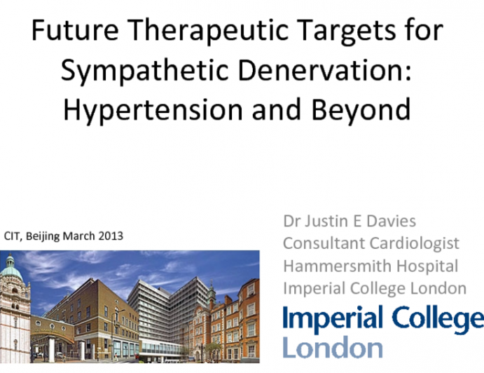 Future Therapeutic Targets for Sympathetic Denervation: Hypertension and Beyond
