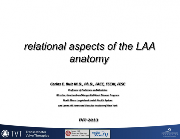 Relational Aspects of LAA Anatomy