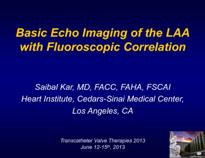 Basic Echo Imaging of the LAA with Fluoroscopic Correlation