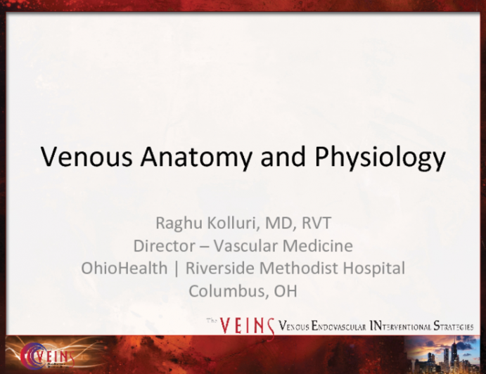 Venous Anatomy and Physiology