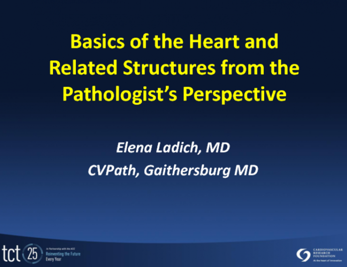 Basics of the Heart and Related Structures from the Pathologist's Perspective