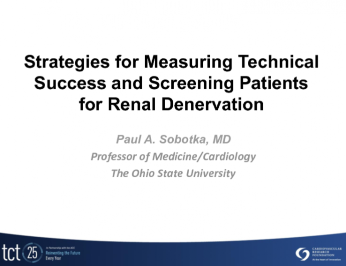 Strategies for Measuring Technical Success to Facilitate Ideal Patient Selection in Renal Denervation