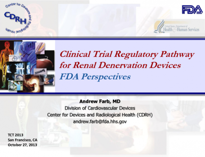 FDA Perspectives: Clinical Trial Regulatory Pathway for Renal Denervation Devices