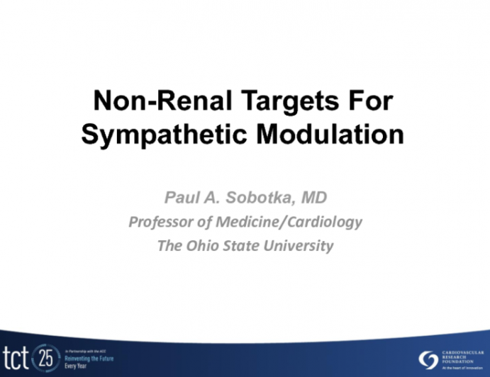 Non-Renal Targets for Sympathetic Modification