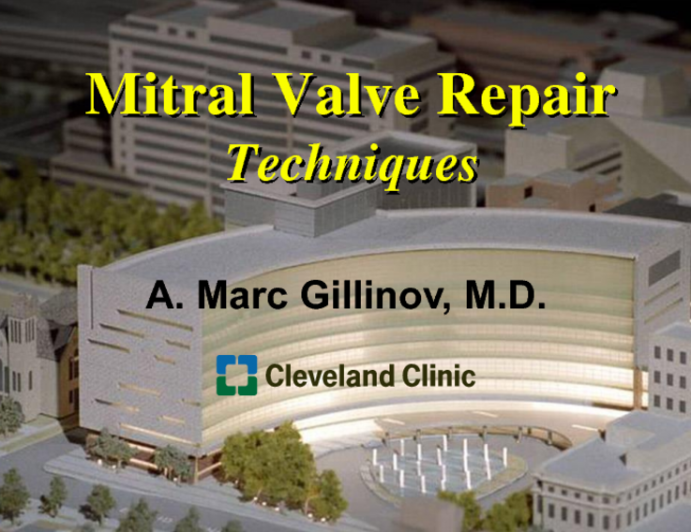 Surgical Repair: A Single Mitral Valve Repair Requires Multiple Maneuvers: Implications for Transcatheter Repair