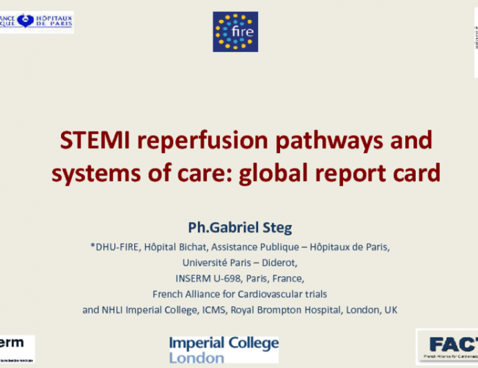 STEMI Reperfusion Pathways and Systems of Care: Global Report Card