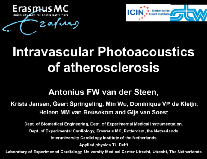 Intravascular Photoacoustics and Vasa Vasorum Imaging