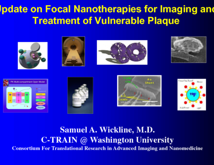 Update on the Potential Application of Focal Nanotherapies for Imaging and Treatment of Vulnerable Plaque