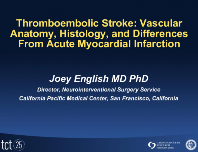 Thromboembolic Stroke: Vascular Anatomy, Histology, and Differences From Acute Myocardial Infarction