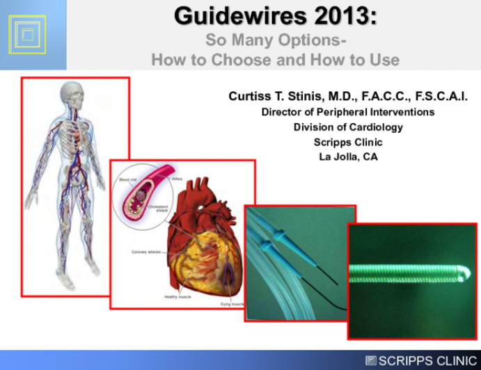 Guidewires 2013: So Many Options - How to Choose and How to Use