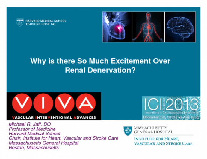 Why is there So Much Excitement Over Renal Denervation?