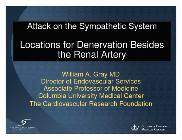 Attack on the Sympathetic System: Locations for Denervation Besides the Renal Artery