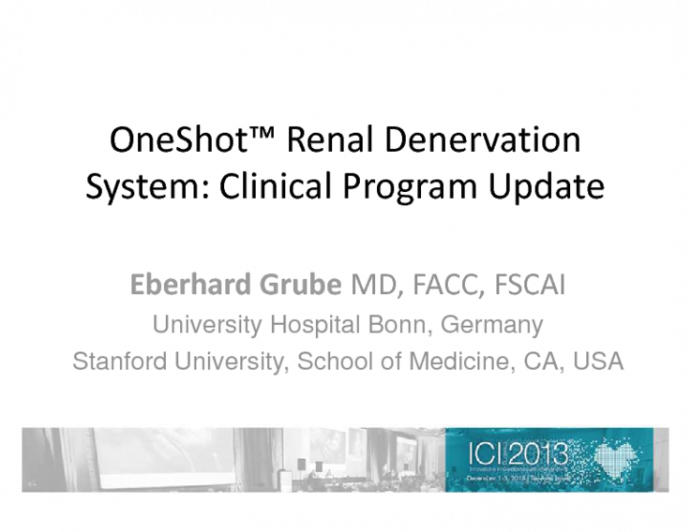 OneShot™ Renal Denervation System: Clinical Program Update